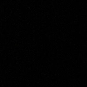 Meet your Posher, Ava